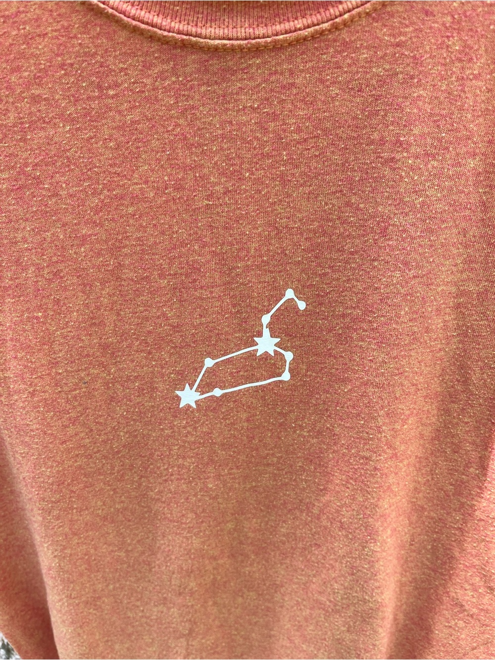 ⭐️Leo Astrological Sign Tee in size M